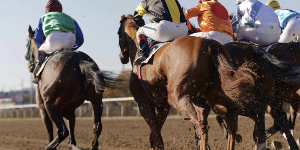 Closeup of racing horses starting a race