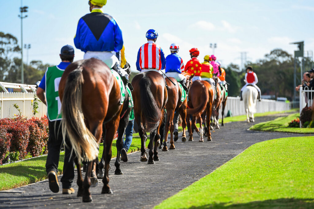 Horses and jockeys parading in the paddock before the race - Landmark Chiropractic