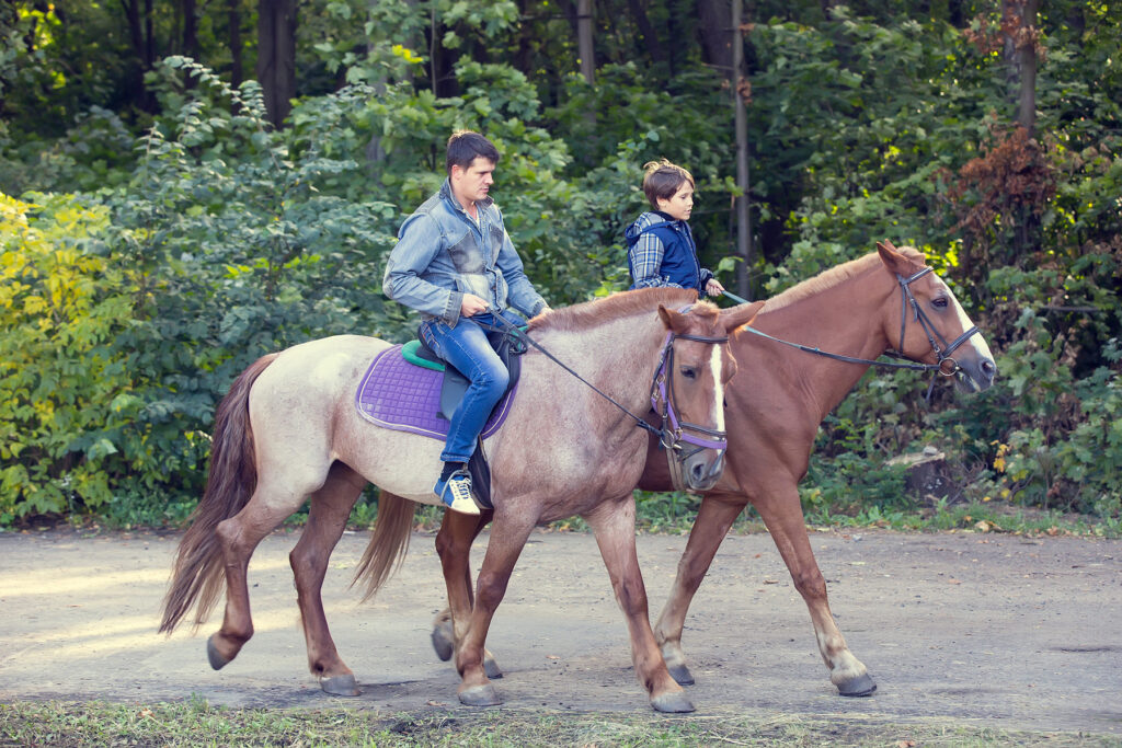 horse ride young guy autumn forest - Landmark Chiropractic